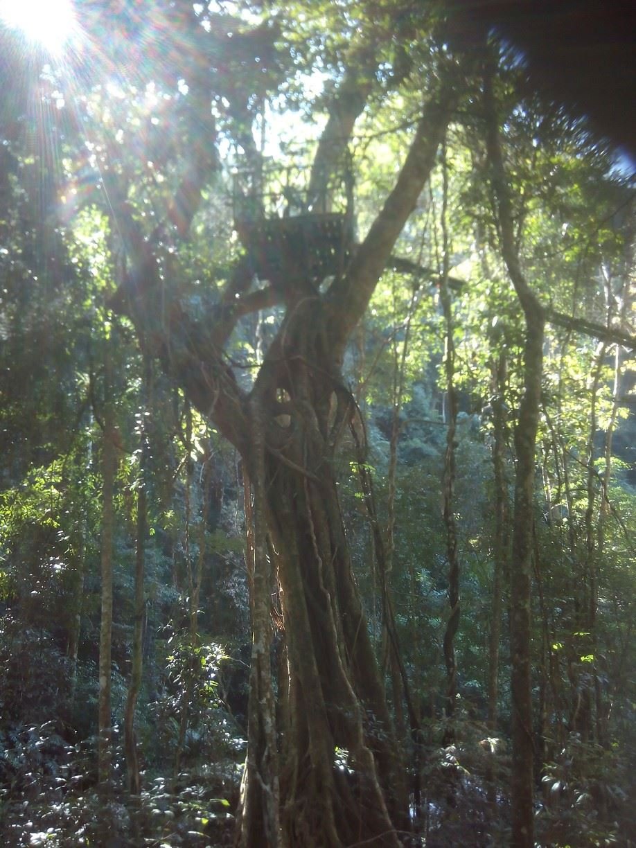 2 Days Luang Prabang Trekking To Hmong and Khmu Hilltribe Villages